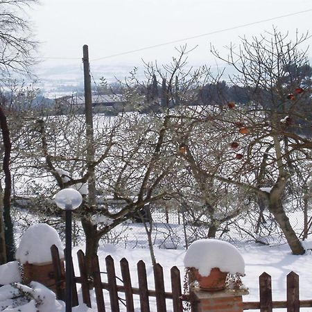 Belvedere Cramaccioli Vigne Eksteriør bilde