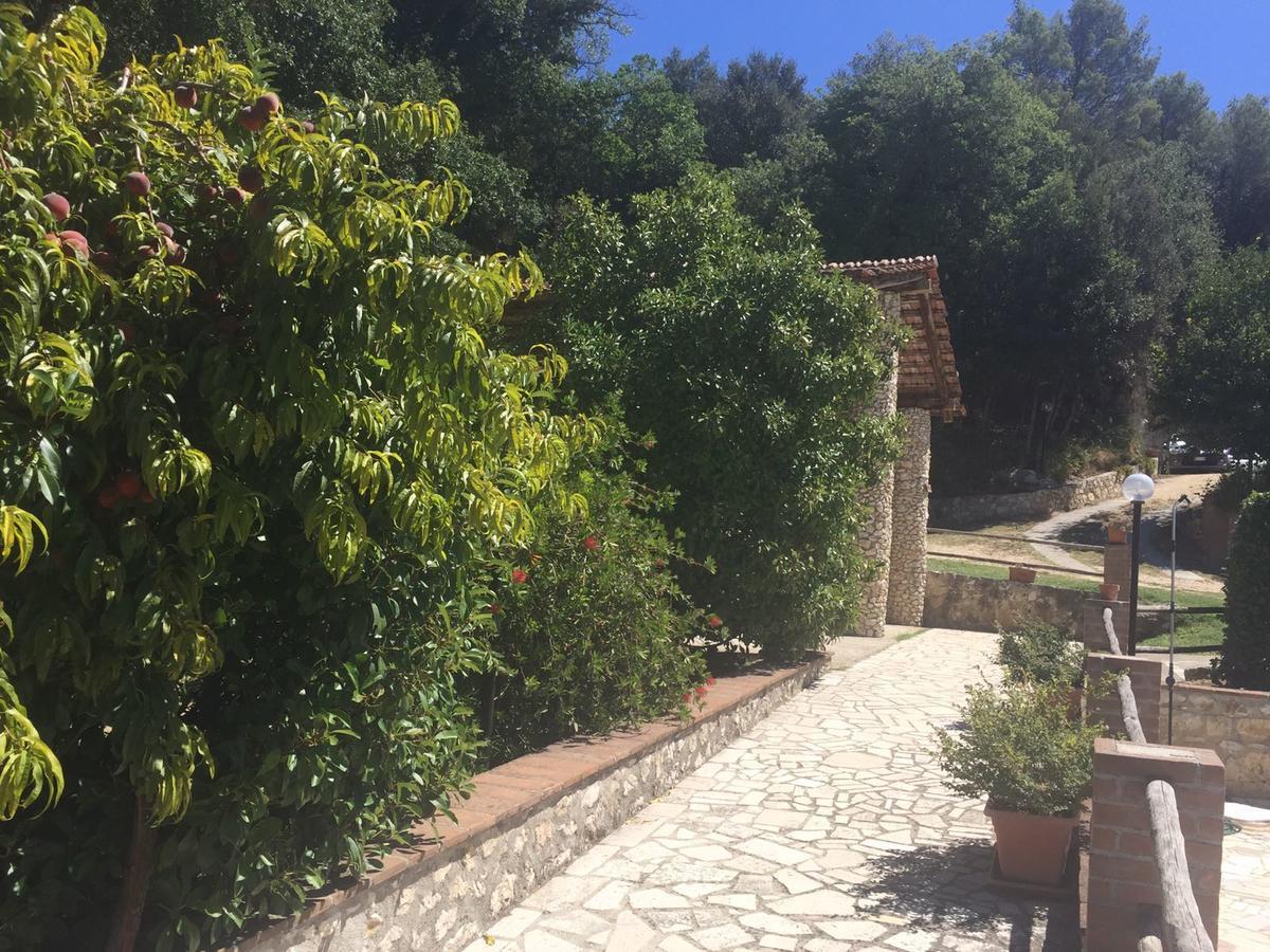 Belvedere Cramaccioli Vigne Eksteriør bilde