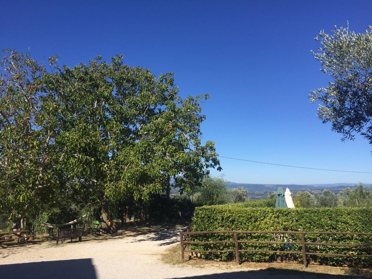 Belvedere Cramaccioli Vigne Eksteriør bilde